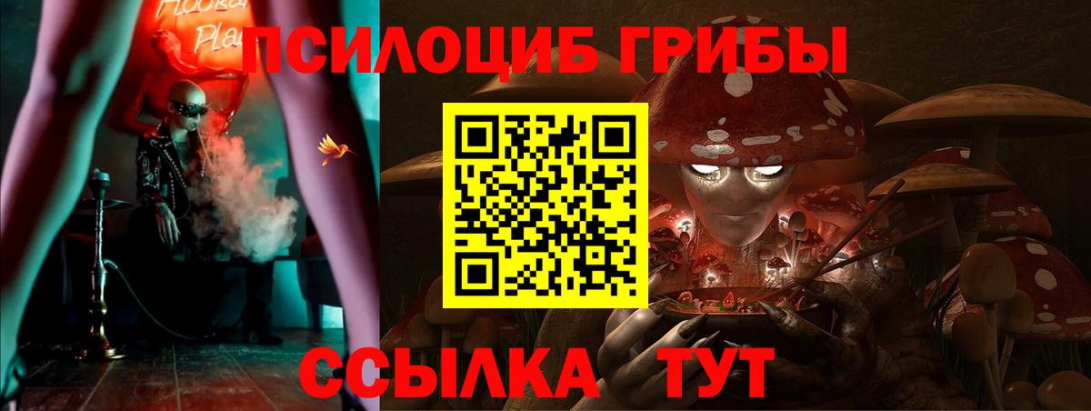 Галлюциногенные грибы мицелий Надым